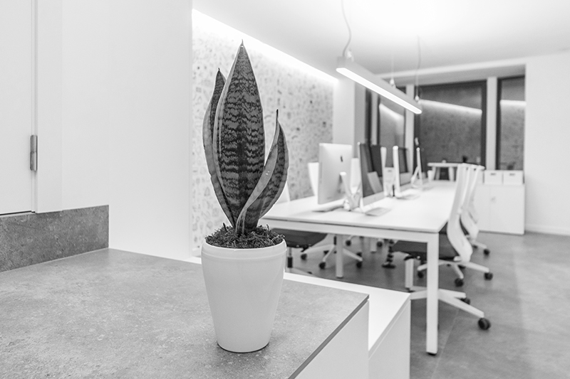 LlarDigital Diseño 001